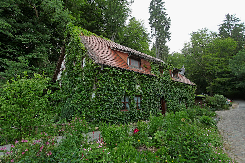 Hotel Boltenmuehle Guhlen Glienicke 객실 사진